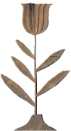 Binnendyk - 5 leaf Golden Tulip Circa 1721